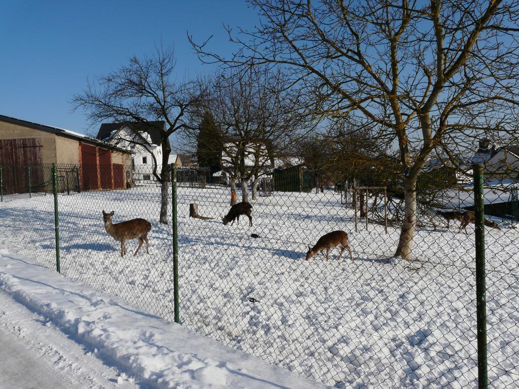 Ferienwohnung Udo Und Stefani Laux Berg  Buitenkant foto