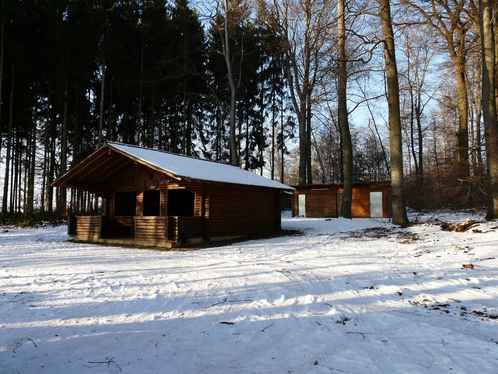 Ferienwohnung Udo Und Stefani Laux Berg  Buitenkant foto