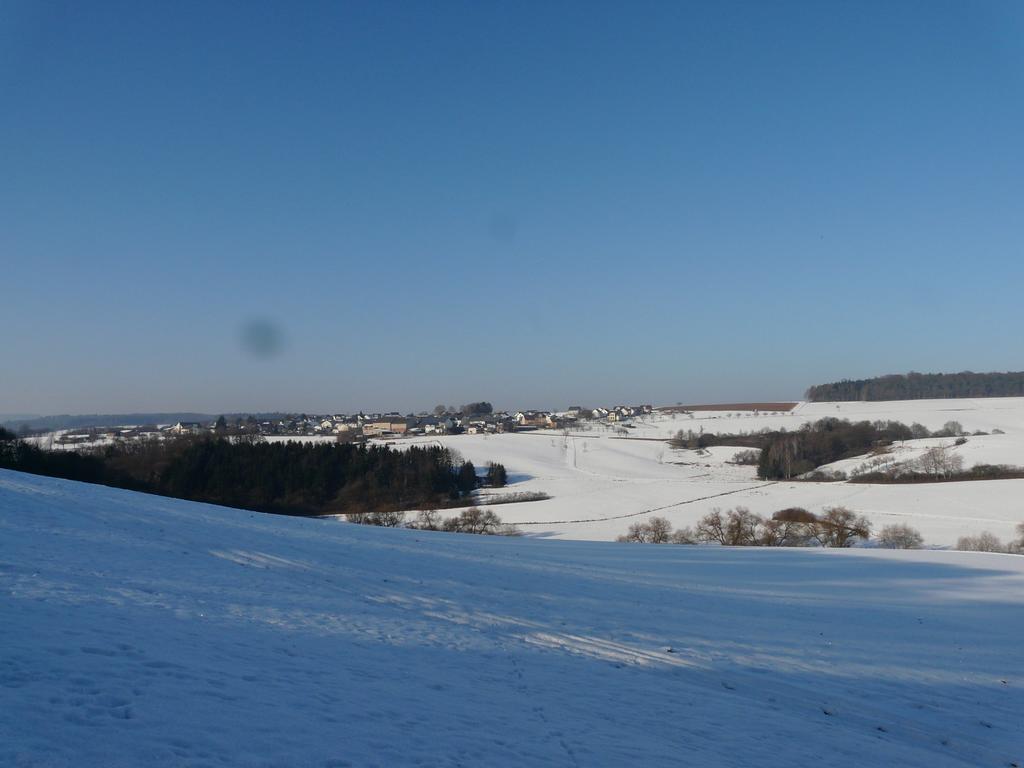 Ferienwohnung Udo Und Stefani Laux Berg  Buitenkant foto